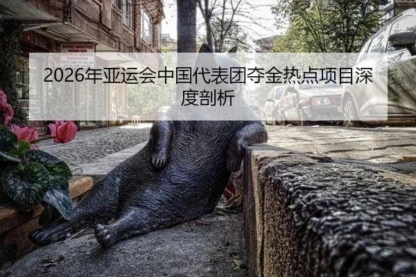 2026年亚运会中国代表团夺金热点项目深度剖析
