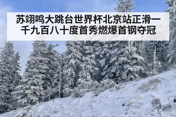 苏翊鸣大跳台世界杯北京站正滑一千九百八十度首秀燃爆首钢夺冠